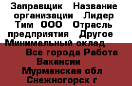 Заправщик › Название организации ­ Лидер Тим, ООО › Отрасль предприятия ­ Другое › Минимальный оклад ­ 23 000 - Все города Работа » Вакансии   . Мурманская обл.,Снежногорск г.